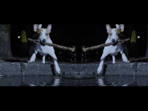 Włodi - Przy Okazji feat. Holak prod. Sampler Orchestra #WDPDD