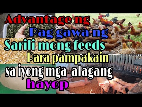 , title : 'Gawin mo ang sariling feeds ng iyong mga alaga ,Kapalit ay malaking kita.