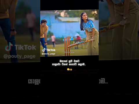 හොදම යාලුවො එහෙමයි 🥺💗 #trending #tiktok #fypシ #love #friends #viral