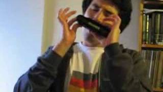 Chromatic Harmonica Solo (Miles Davis: Saeta)