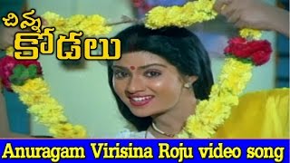 Chinna Kodalu Movie  Anuragam Virisina Roju Video 
