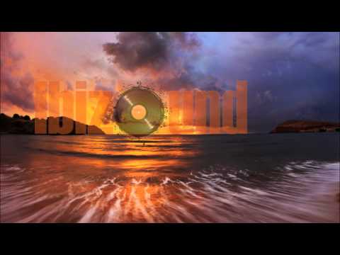 Danique, Distorted Beauty - Scream (Gabriel Ananda Remix)