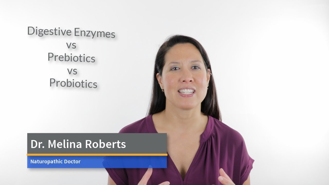 Digestive Enzymes | Prebiotics | Probiotics