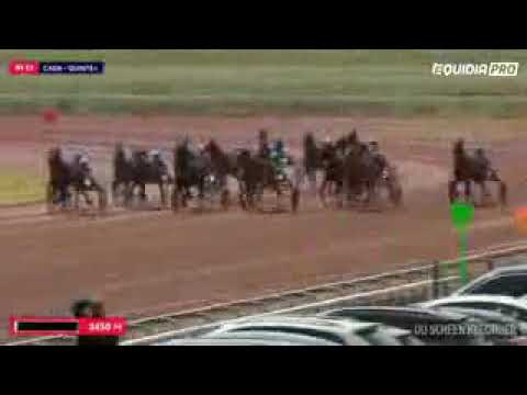 Prix des Ducs de Normandie 16.05.2018 - Caen / Aubrion du Gers