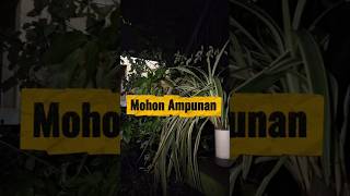 Download lagu Pengingat bagi diri sendiri - 10 Oktober 2025 mp3