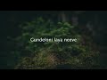 Neeve Telugu Lyrics Video Phani Kalyan