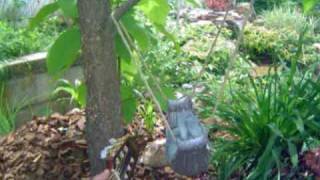 Bill Staines Week  "My Sweet Wyoming Home"