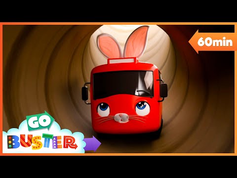 Baby Buster Bunny Goes On An Adventure! | @GoGeckosGarage