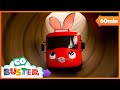 Baby Buster Bunny Goes On An Adventure GoGeckosGarage