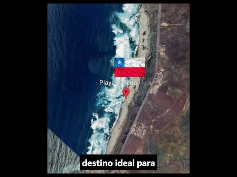 Descubre Playa La Ballena: el tranquilo tesoro natural de La Ligua que cautiva con sus paisajes
