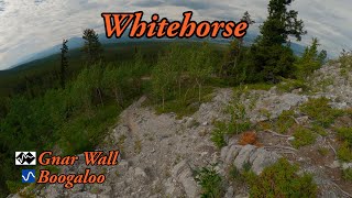 Best MTB trails in Whitehorse, YT - Gnar Wall and Boogaloo