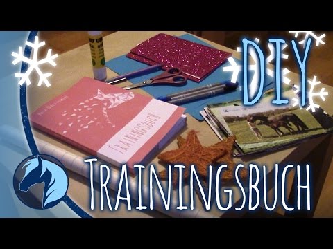 ❄ DIY - Ein Trainingsbuch für Feli ❄