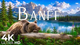 Banff’s Untamed Beauty 4K: Untouched Wilderness & Incredible Wildlife