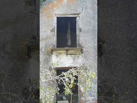 Estancia  LA ENCANTADA . Tres Islas . CERRO LARGO.