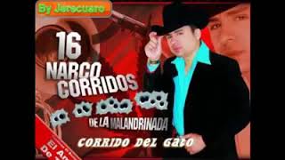 Larry Hernandez -El Corrido Del Gato