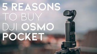5 REASONS you should BUY a DJI OSMO POCKET