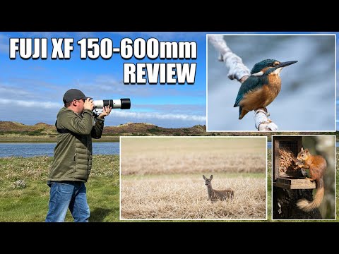 Fuji XF 150-600mm Review - The Best Fuji Wildlife Lens?