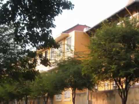 Mộng mơ Sheet - Quang Minh