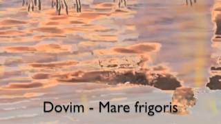 Dovim - Mare Frigoris (Traum V196)