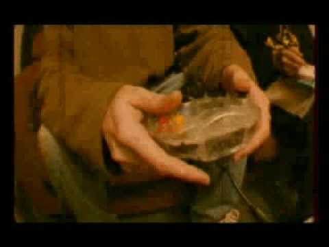 Da Floawaz - Building peaks