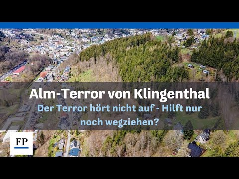 Der Alm-Terror von Klingenthal hört nicht auf: Hilft nur noch wegziehen?