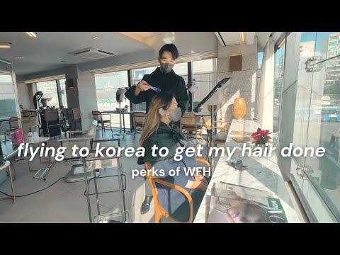 🇰🇷 dyeing my hair from bleached mess to burgundy @...