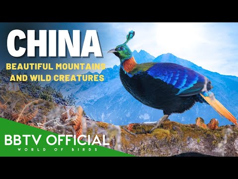 Secret China | Most Beautiful Mountains & Wild Creatures You Must See | BBTV Official