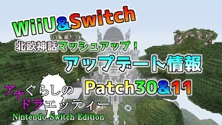 最高のマインクラフト 驚くばかりマイクラ 防具立て ポーズ Ps4