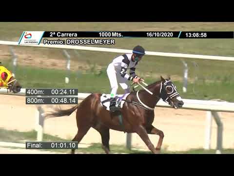 201016 c02 - TORDO 1° - HIPODROMO LAS PIEDRAS
