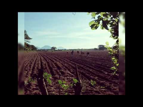 Quiero cantar para tí. Angel