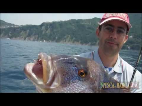 Russo di Khopyor pesca 3 5 I cercatori di profondità sonici per pescare in Ufa i prezzi