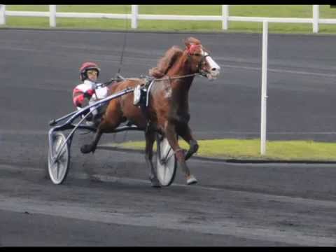 prix d'amerique 2010