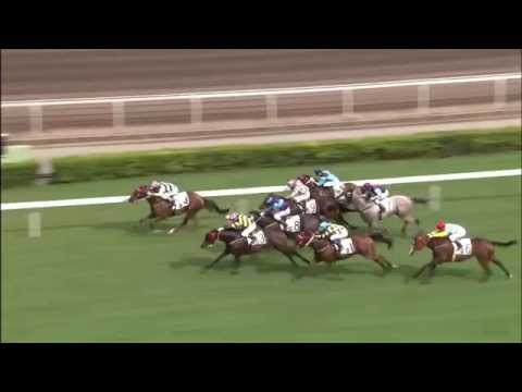 [Prince Jewellery & Watch Premier Cup 2015] SECRET SHAM wins Prince Jewellery & Watch Premier Cup