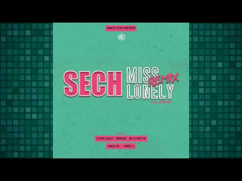 Sech Ft. Farruko, Justin Quiles, De La Ghetto, Anuel AA, Karol G - Miss Lonely Full Remix  (Audio)