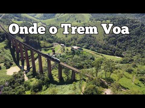 O Gigante de Carlos Euler