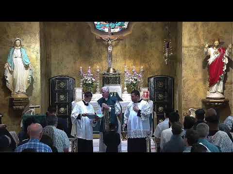 10:30 AM Missa Cantata - Dominica IX Post Pentecosten