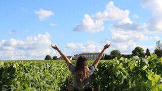 Did You Deceive Me (Official Video) (ORIGINAL) - Andy, Pao &amp; Nathalie