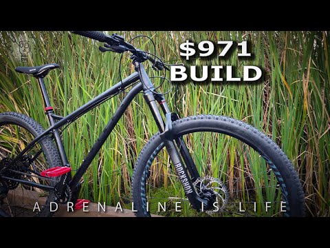 I Built This Steel Hardtail Mountain Bike for UNDER $1000 | NS Eccentric Chromoly Build