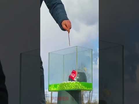 Coca Cola and Mentos in Balloons #Shorts