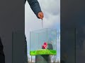 Coca Cola And Mentos In Balloons Shorts