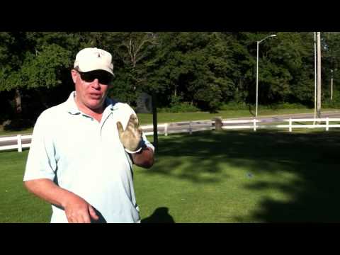 Dutch Masters Driving Tip #763