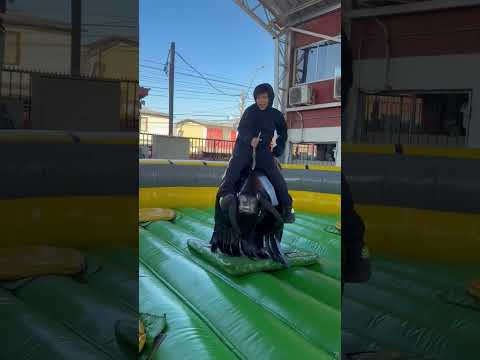 Video 8