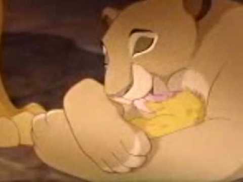 Meistä tuli leijonia