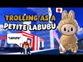 Trolling As A Labubu In ROBLOX BADDIES