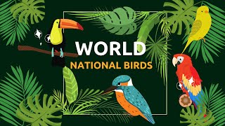 National Birds of World  Part-1| Countries, Flags, and their National Birds