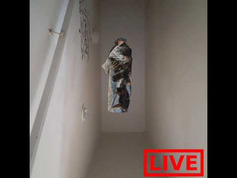 WNB Yung-Dreaming(official music video)dir sllushy production WNB Yung