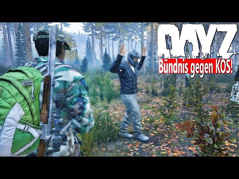AUFBAU einer ARMEE - KAMPF für GERECHTIGKEIT in CHERNARUS - BÜNDNIS gegen KOS BAMBIKILLER - DAYZ