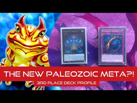 Yugioh! 3rd Place Frog Paleo Spright! Deck profile! August 2022!