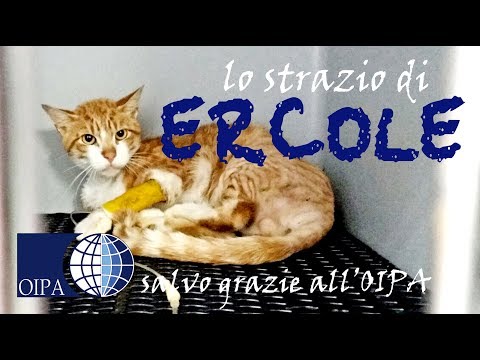 LO STRAZIO DI ERCOLE