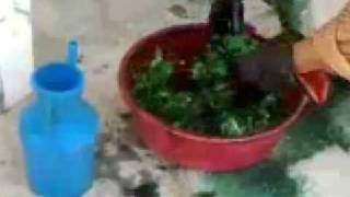 تعذيب بالالوان